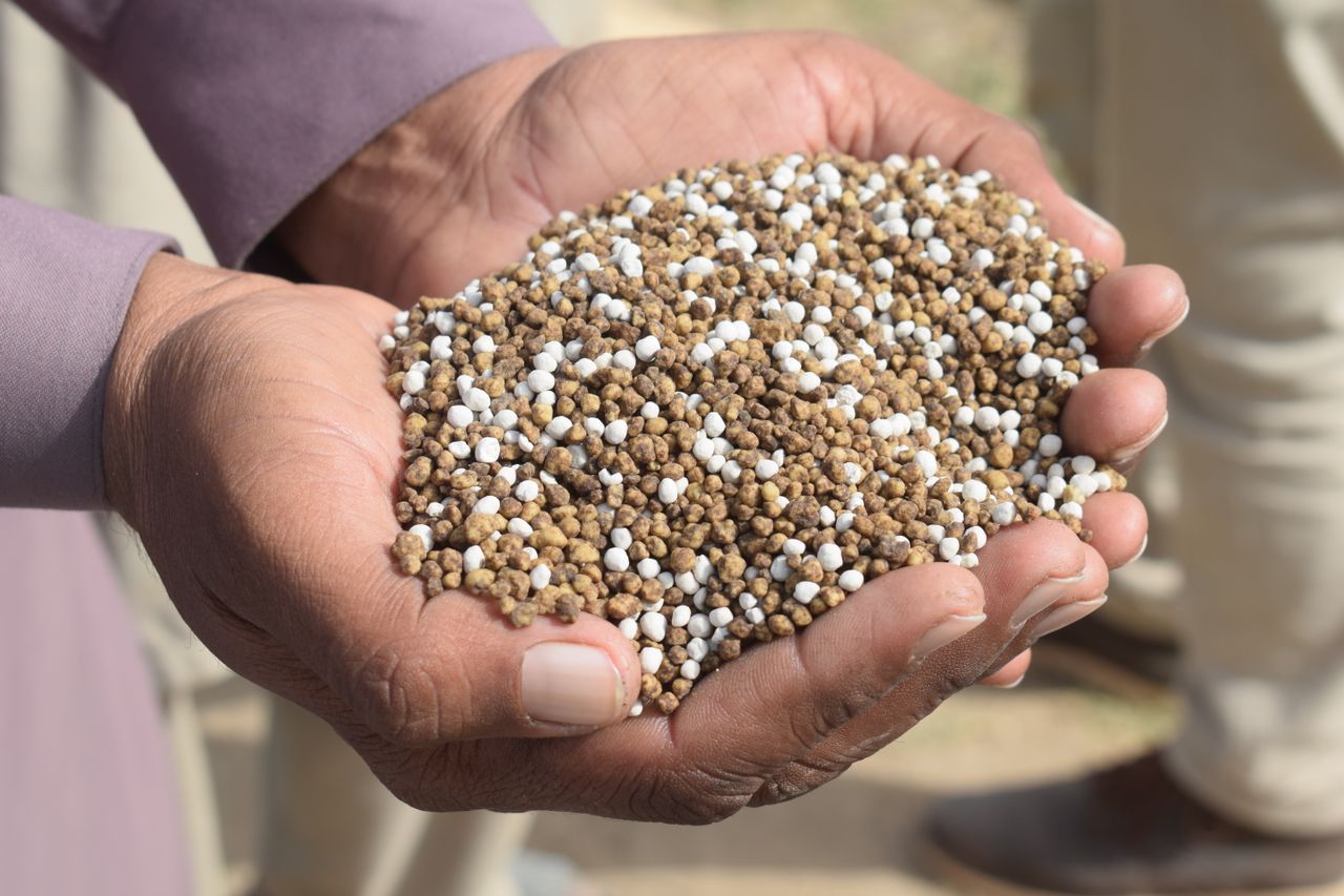 Fertilizers & Agri Inputs